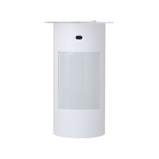 Motion Detectors