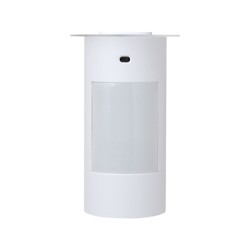 Outdoor PIR Motion Detector