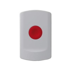 Panic Button
